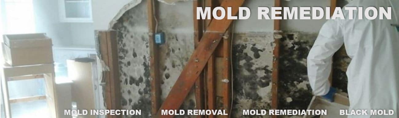 Indoor Air Pollution Testing